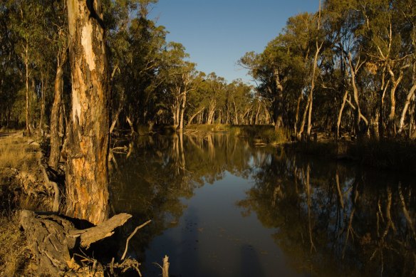 22 Victorians drowned in the Murray River over a 10-year period. 