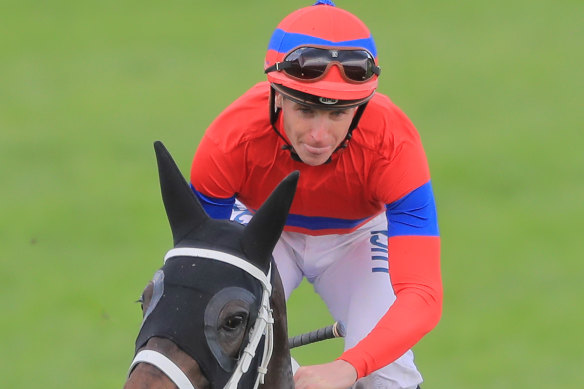 Melbourne Cup hope? Verry Elleegant is set to target a Cups path this spring.