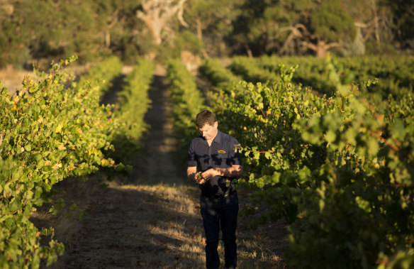 John Hughes at Clare Valley’s Rieslingfreak.