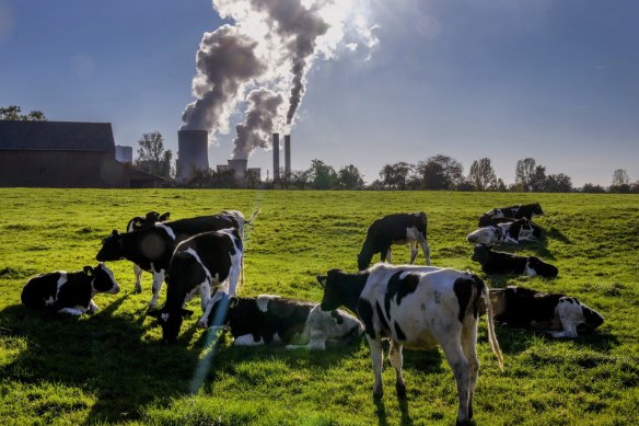 A new global standard that will improve companies’ transparency on climate change was launched at COP26 in Glasgow