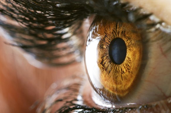 Researchers have confirmed when and how COVID-19 affects the eyes, in another piece of the puzzle around how the disease moves through the body.