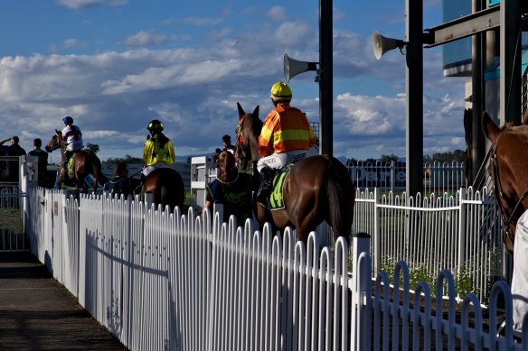 A bumper nine-race card is scheduled for Muswellbrook on Tuesday.