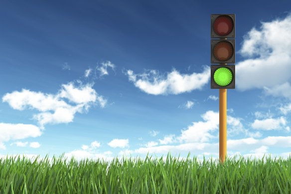 For more than a century, great minds have searched for a solution to the torment of red traffic lights.