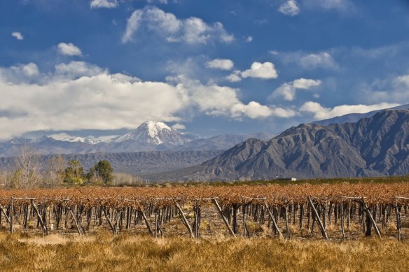 Aconcagua, in the distance, is South America’s tallest mountain.