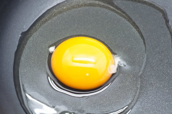 Contrary to popular belief, the egg yolk is actually richer in protein than the white.