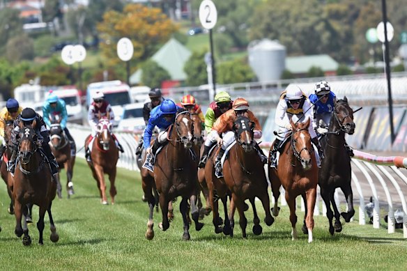 Gailo Chop winning the 2015 Mackinnon Stakes.