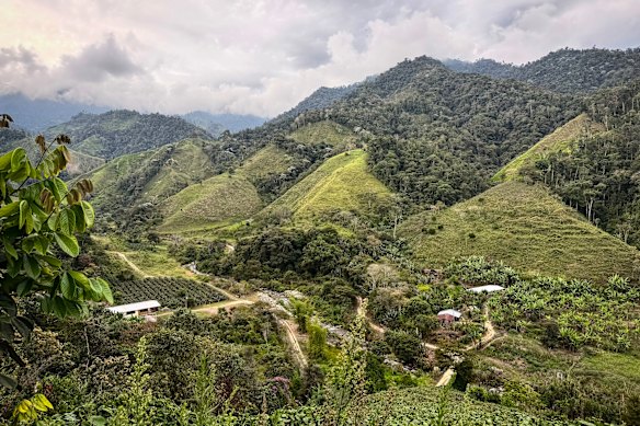 Farms on the fringes of Junin. The mountainous village sits inside the Llurimagua concession.
