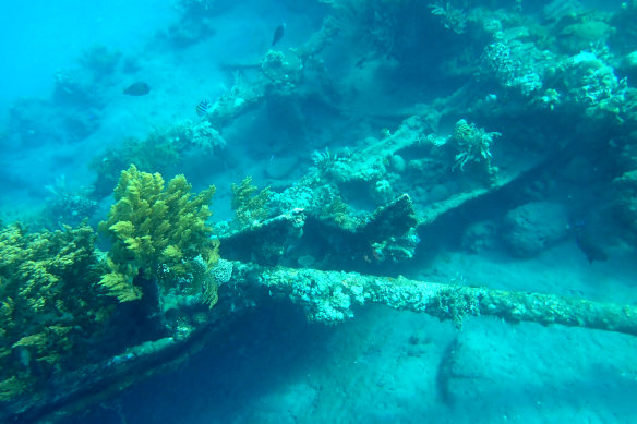 The Japanese Wreck can be explored with a snorkel.