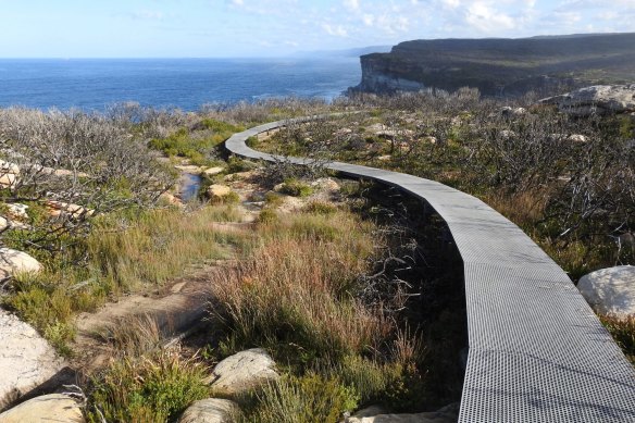 The Royal National Park features stunning bushland and coastal walks. 

