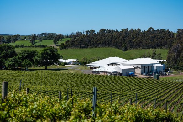 Bay of Fires Wines. 