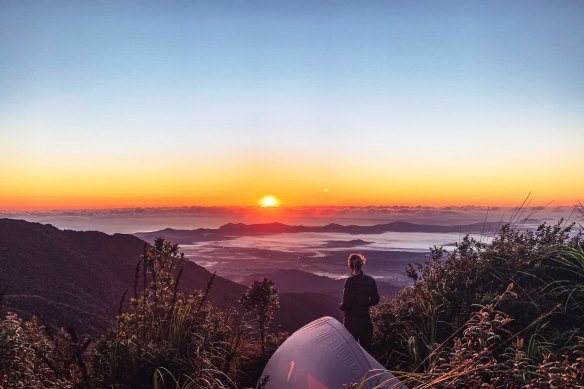 The view from the summit of Mount Bartle Frere.