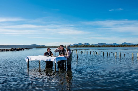 Fresh as it gets … oyster and wine tasting at Freycinet Marine Farm, Tasmania.