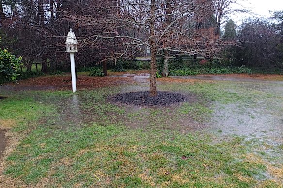 The lightly flooded ‘Lake Burradoo’ backyard, NSW Southern Highlands