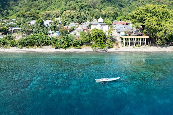 Coral reef fringes the snorkelling hotspot of Alor, Indonesia.