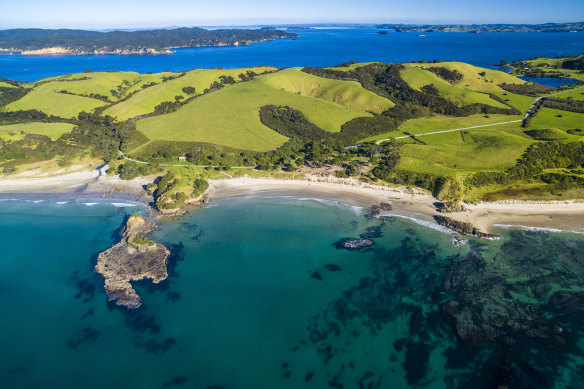 Tawharanui: beautiful to look at, impossible to pronounce.