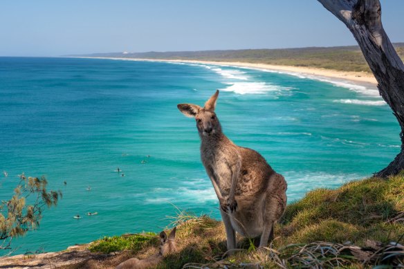 North Stradbroke Island is home to some of Australia’s best beaches.