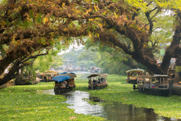 Houseboats on the backwaters of Kerala.