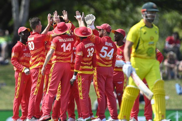 Zimbabwe celebrates after taking the wicket of Marcus Stoinis.