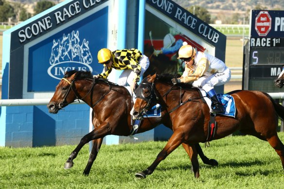 Racing returns to the equine capital of Australia on Tuesday with an eight-race card.