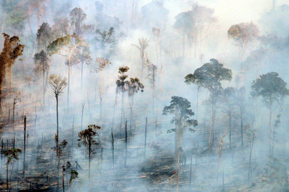 Deforestation and bushfires are changing the climate in parts of the Amazon, and also switching the basin from being a carbon sink to contributing to global carbon-dioxide levels.