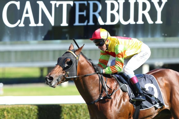 Racing returns to Canterbury on Friday evening with an eight-race card.