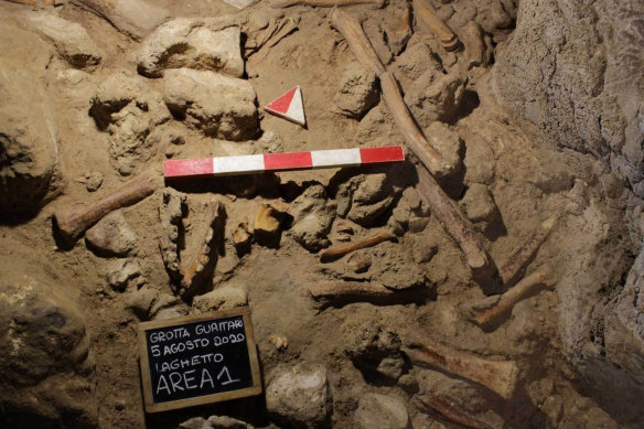 The fossilised bones were found in the Guattari Cave in San Felice Circeo, between Rome and Naples.