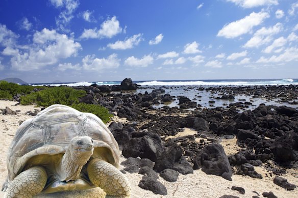 Four days goes slowly at this time of year in Galapagos.