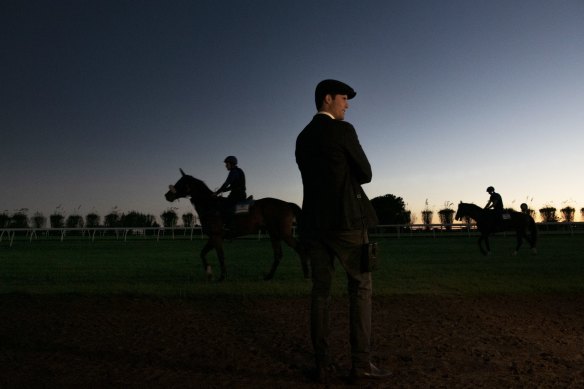 Horse trainer James Cummings runs his eye over his charges at the Godolphin stables at Osborne Park in north-west Sydney ahead of the Queen Elizabeth Stakes on March 30, 2023.