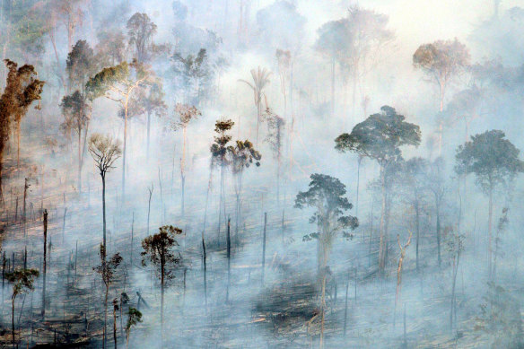 Deforestation in parts of the Amazon has contributed to Brazil’s shrinking rainfall. 