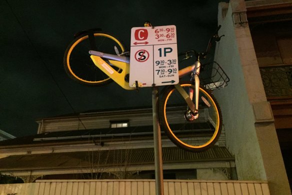 oBikes were found in interesting places during their time in Melbourne.