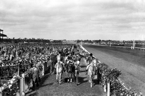 Phar Lap is led back to the mounting yard at Flemington Racecourse after winning the Victoria Derby, Melbourne, November 1929.