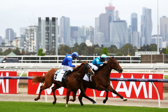 Crosshaven and Aysar went neck and neck in the Carbine Club Stakes last spring.