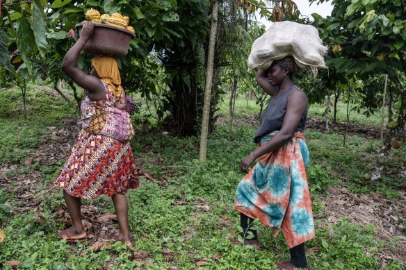 Some West African farmers are getting paid below the farm-gate rate for their crop.