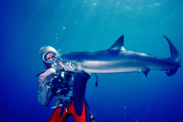Valerie Taylor swims with a shark.