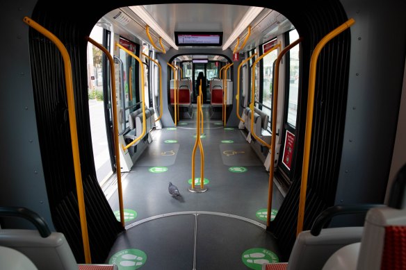 A pigeon is the only passenger on a deserted tram in Sydney’s locked-down CBD.