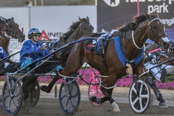 Natalie Rasmussen in the gig behind one of the stable's Inter Dominion hopes, Thefixer.