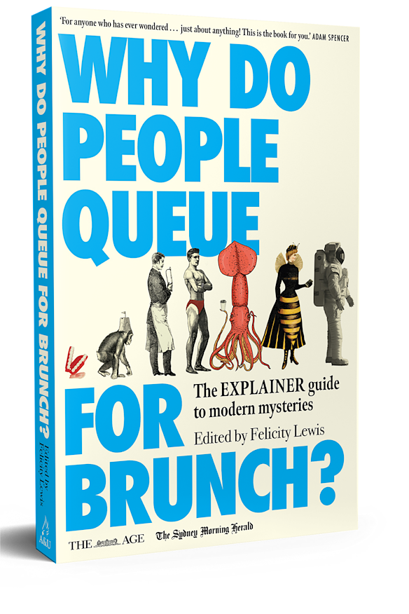 The new Explainer anthology, Why Do People Queue For Brunch