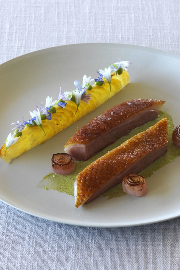 Duck deluxe with potato galette.