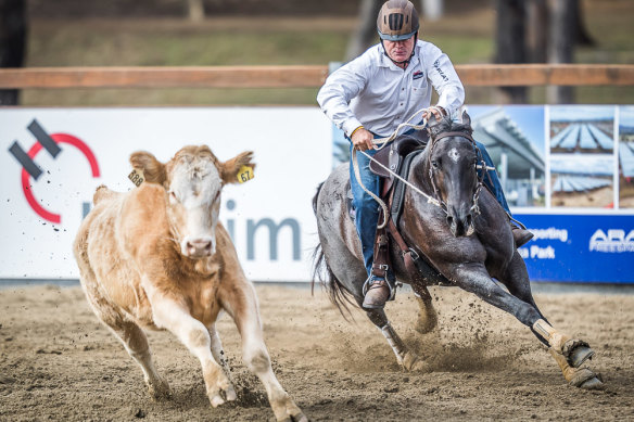 Pete Comiskey and his mare Paris in their winning ride at the World Championship Gold Buckle Campdraft.