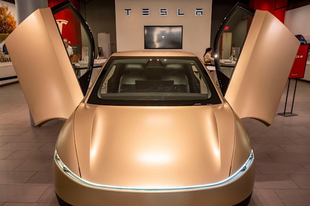 Elon Musk’s new Tesla robotaxis hit the streets in critical test for ...