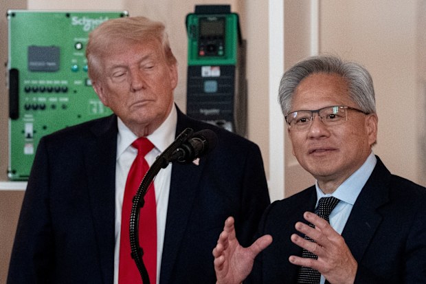 Why Americans loathe AI and Trump loves it