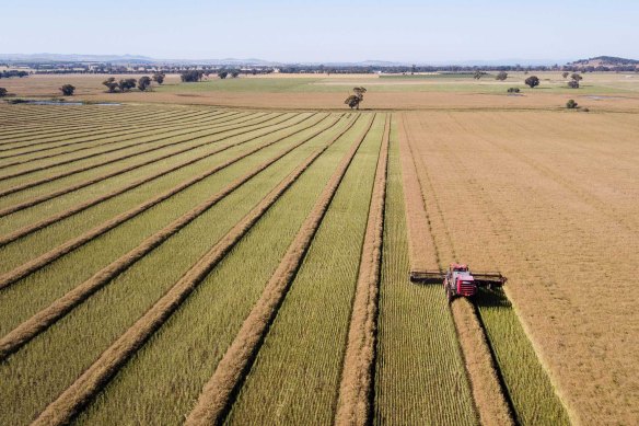 Aussie soil carbon start-up Loam Bio was founded in NSW’s Central Tablelands region of Orange.