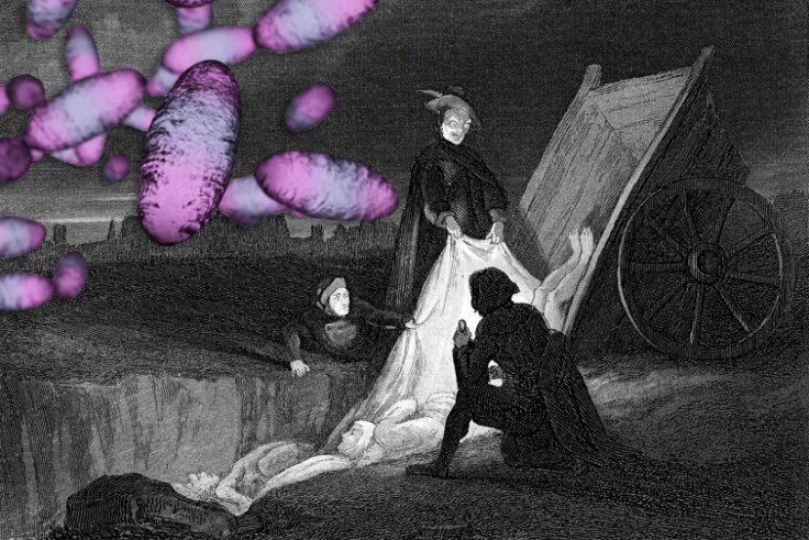 Coronavirus How Does Covid 19 Compare To Smallpox Sars Or The Black Death And How Will It End