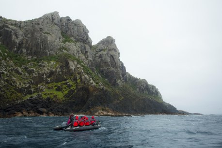 Wild wonders: NZ’s lesser-known natural highlights