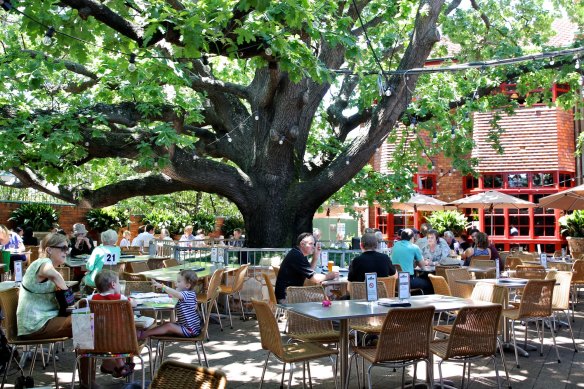 Schooners under the Oaks’ tree is a Sydney classic.
