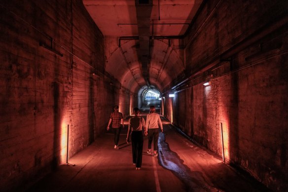 The old Wynyard tunnels will be open to the public for the first time during Vivid.
