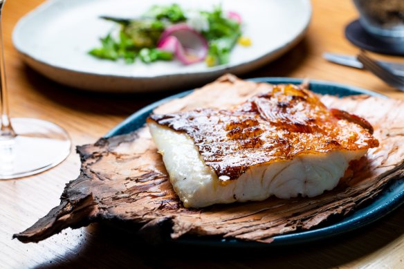Coral trout with desert lime and pil pil at Firedoor.