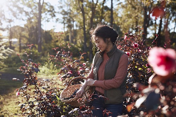 Palisa Anderson de Chat Thai Restaurants y Boon Luck Farm, Tyagarah.