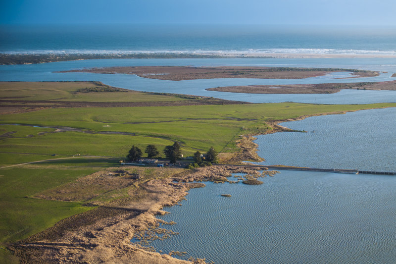 Ex-QIC boss Damien Frawley sells organic cattle farm for $25.5m