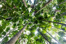 The Sustainability Leaders Awards recognise leaders investing in sustainable innovations benefiting the environment, social, and business outcomes.